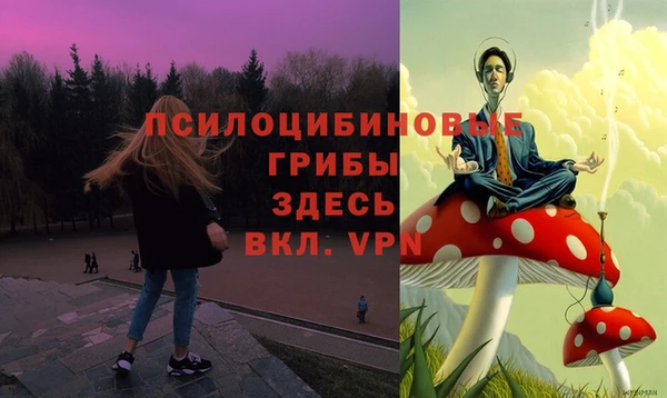 сатива Алексин