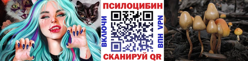 купить наркотики цена  Богородск  Галлюциногенные грибы мухоморы 