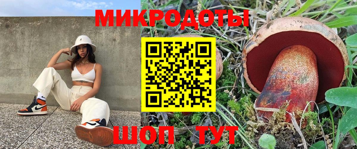 Галлюциногенные грибы GOLDEN TEACHER Богородск